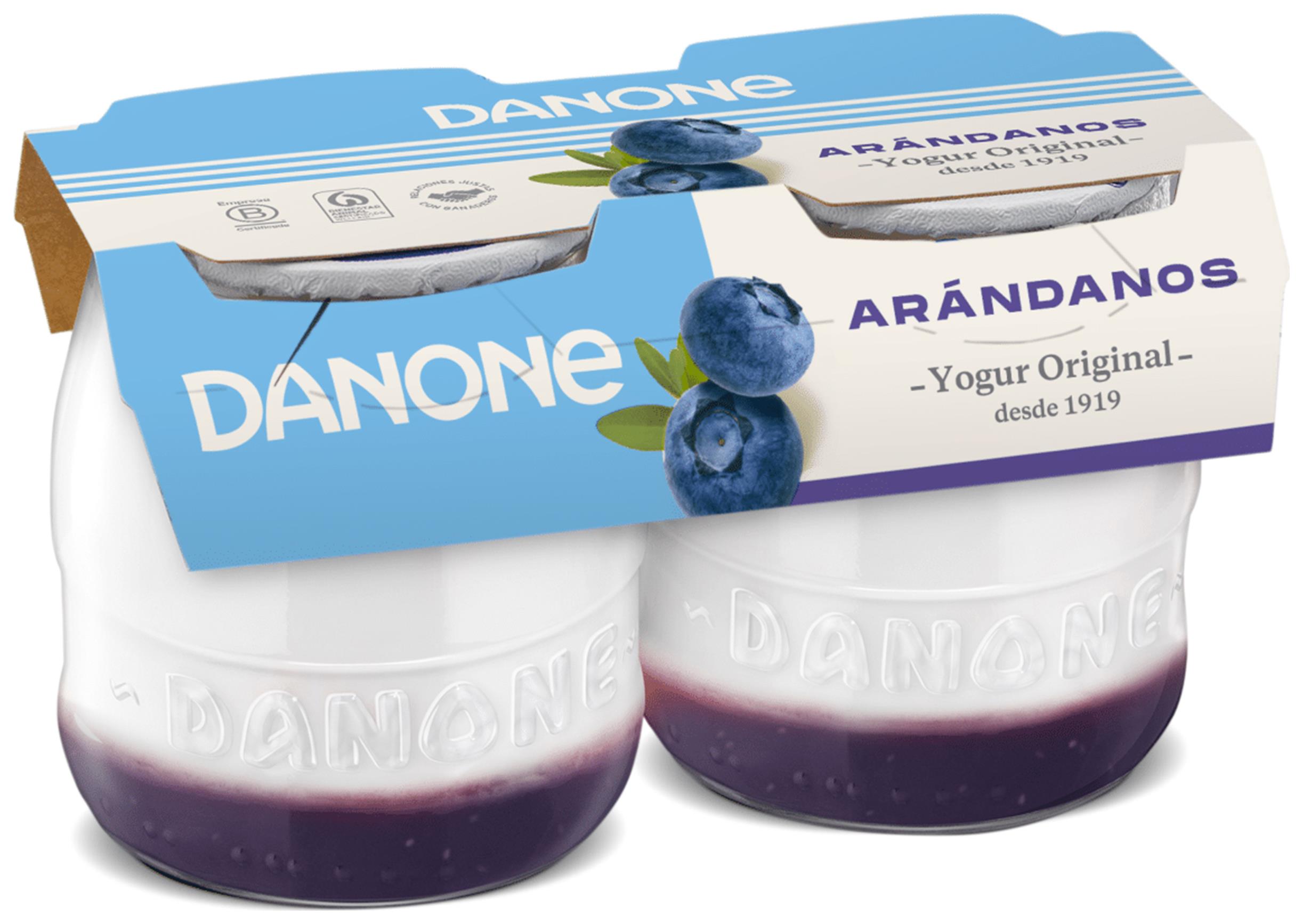 Yogur griego de arandanos x2 Danone — La Molienda